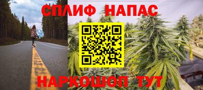 гидра Брянск