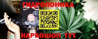 гидра Брянск