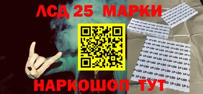 гидра Брянск