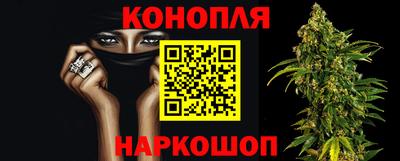 гидра Брянск