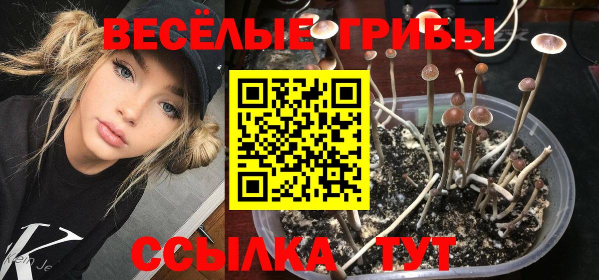 Каменск-Шахтинский  Галлюциногенные грибы GOLDEN TEACHER  Вход с VPN 