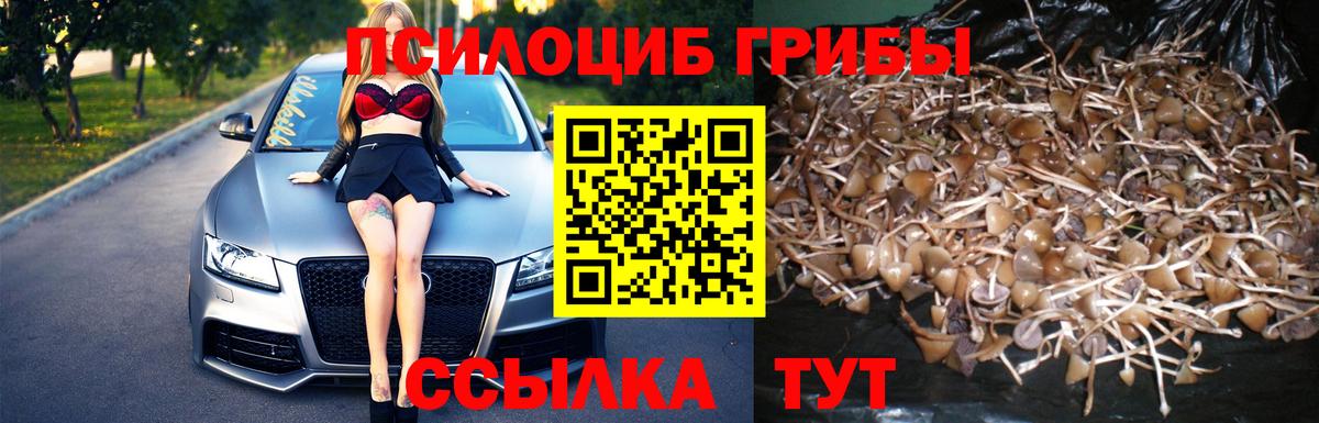 Галлюциногенные грибы прущие грибы Каменск-Шахтинский